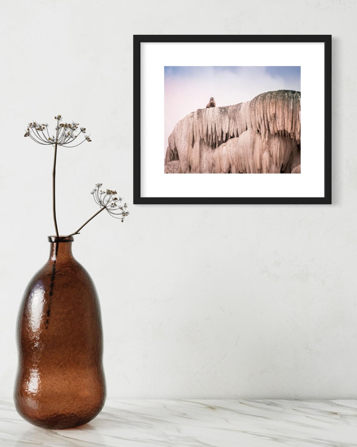 Oh Hi There - Sara Foz Photography